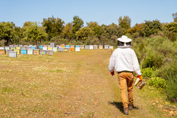 beekeeper going to the hives with his smoker and his protective suit for the care of his hive