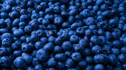Fresh blueberry background. Texture blueberry berries close up.
