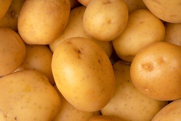 A group of fresh tasty potato as  background.