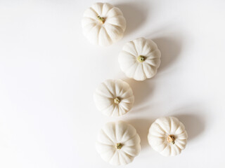 Fototapeta na wymiar White autumn pumpkins minimal background.