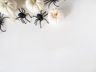White Halloween background with white pumpkins, webs, black spiders on a white background.