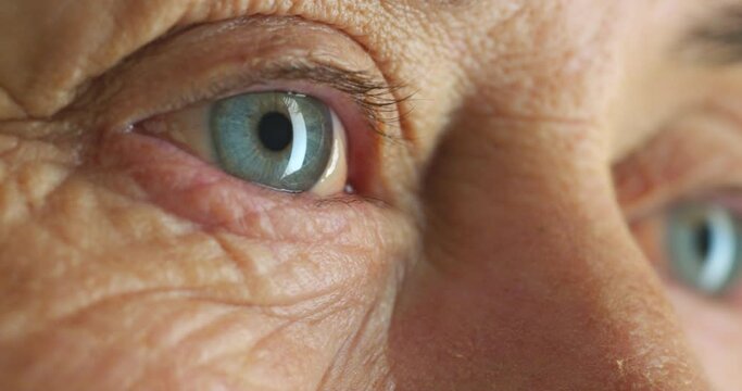 Senior woman blue eyes, lashes and wrinkle skin thinking against a studio background. Zoom in face or head of elderly woman lonely and thoughtful in retirement with light reflection in eye alone