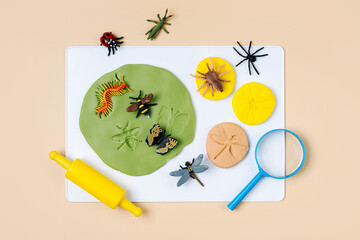Educational game with  Bug Fossils made with play dough. Fine motor skills. Sensory play for toddlers with toy insects. Montessori material. Activity for Kids.