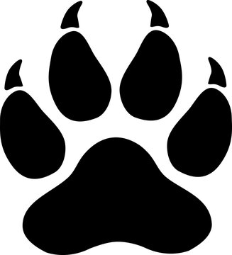 High quality illustration of a predator (tiger, lion, cat) footprint silhouette isolated on transparent background	