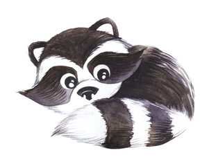 Illustration decorative element. Small black and white raccoon curled up ball looks out big eyes from behind striped tail Hand painted watercolor. cartoon drawing isolated on white background.
