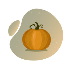 big ripe pumpkin .vector illustration of vegetables
