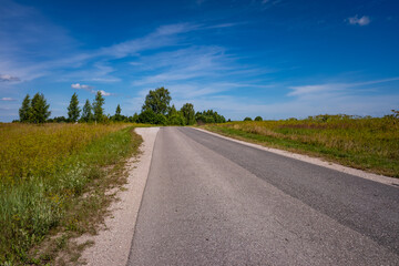 Fototapeta na wymiar Picturesque asphalt road, beautiful summer view, Pskov region, Russia
