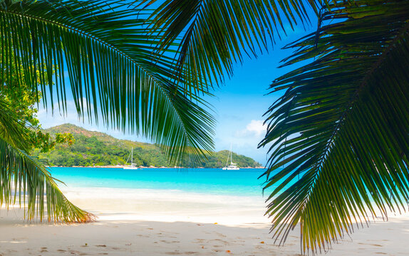 The most beautiful beach of Seychelles. Anse Lazio, Praslin, Seychelles