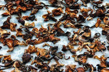 Drying mushrooms in old part of the buddhist town in Shangri-La or Zhongdian