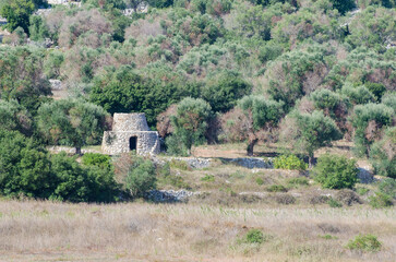 Una pajara, tipica costruzione rurale del Salento in Puglia, fra gli ulivi secolari che crescono in un campo dalla tipica terra rossa