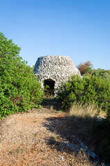 Una pajara, tipica costruzione rurale del Salento in Puglia, fra gli ulivi secolari che crescono in un campo dalla tipica terra rossa