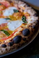 sourdough neapolitan mozzarella pizza