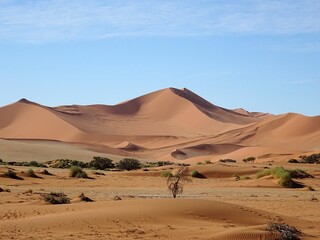 Fototapeta na wymiar Majestic sand dunes in the namib desert of Namibia.