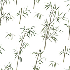 Fototapeta na wymiar Watercolor seamless pattern with bamboo. Hand drawn illustration on white background. Vintage print