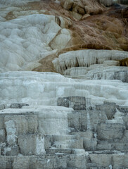 The Many Colors and Shades of Mammoth Hot Springs