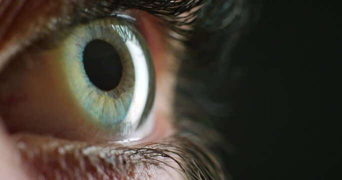 Closeup of a blue eye, vision and good eyesight of a woman with a moving pupil and contact lenses. Macro of a awake girl with healthy optical eyecare with a beautiful and natural iris color.