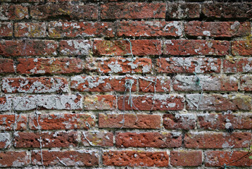 Old red brick wall in close up