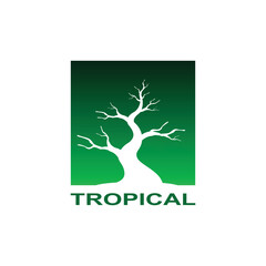
tropical dry tree simple design