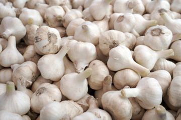  fresh garlic on market stall. background, food texture.  