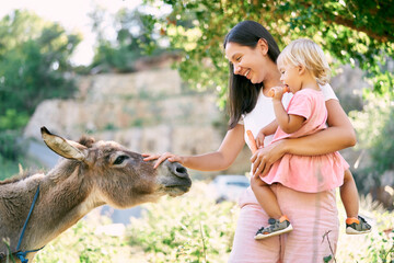 Smiling mom with a little girl in her arms stroking a donkey on the head. High quality photo