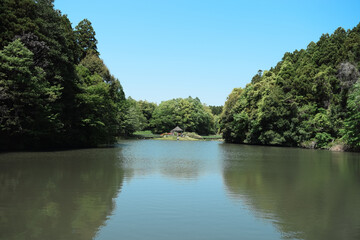 夏ののどかな公園