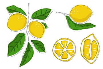 Fresh lemons, juice citrus, line illustration.