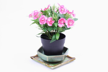 The artificial flower in the pot on white background