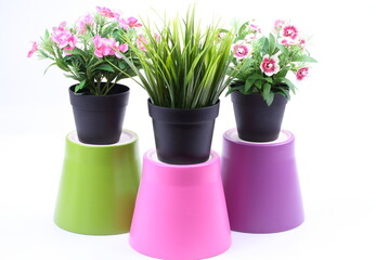 The artificial flower in the pot  on white background