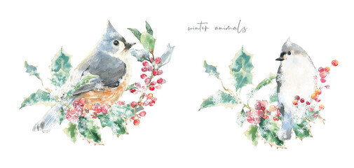 Watercolor squirrel,bird on fir tree branch Christmas illustration.Woodland winter forest nursery decoration for greeting card, poster, invitation, baby shower Merry Christmas,New Year print, sticker	