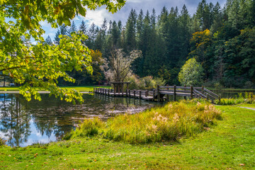 Wooden bridge, dock in the autumn park. Fall colors in Silver Lake Campground, Fall Time, North Cascades Region