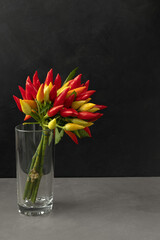 a bouquet of multi-colored hot pepper in a glass on a gray table. Dark background copy space 