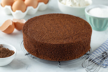 freshly baked chocolate sponge cake - 531454164