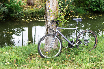 Fototapeta premium Bicycle stands near a tree growing near the river