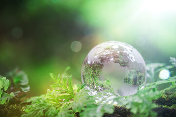 Obraz na płótnie Canvas Globe planet glass In green forest with bokeh nature lights. world environment day. concept for environment conservation, protect ecology earth and environmental eco-friendly life with copy space
