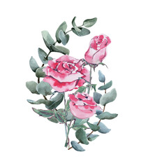Bouquet of pink rose flowers and green eucalyptus branches. Flower arrangement wreath. Hand drawn watercolor illustration white background for cards, wedding invitations, banners.