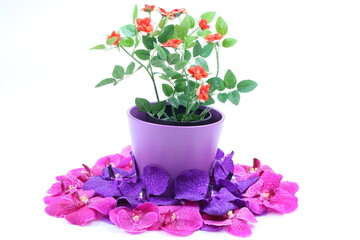 The artificial flower in the pot and pink, purple orchid flower on white background