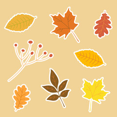Аutumn leaves stickers set