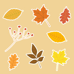 Obraz premium Аutumn leaves stickers set