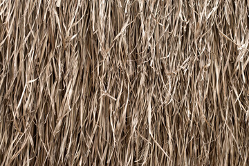 Straw texture. Tropic roof summer background.