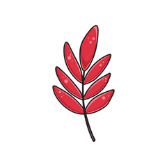 Red rowan tree leaf clipart. Bright colorful single leaf isolated vector cartoon illustration. Leafy twig hand drawn autumn decoration