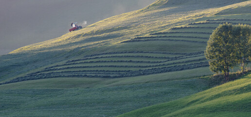 Fototapeta na wymiar Mountain farmer rakes on the green steep slope in the evening light, slope tractor in harvest use 
