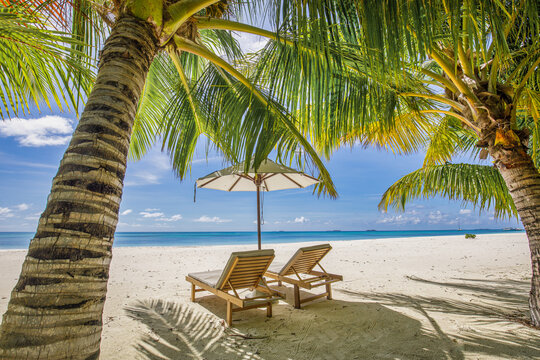 Beach beds chairs under umbrella and palm tree. Closeup white sand sea beach nature. Amazing idyllic beach vacation summer holiday concept. Luxury couple romance travel, tranquil, sunny relaxation