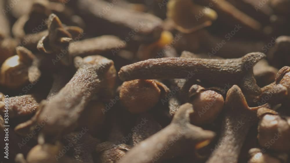 Poster dried cloves rotate in a circle. fragrant seasoning
