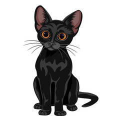 Cute kitten isolated on white background. Black cat, cartoon drawing, vector illustration.