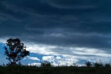 clouds over the forest