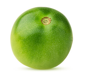 Fresh green tomato