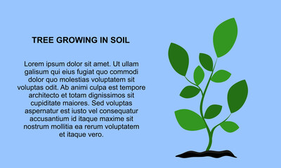 Tree growing in soil, template banner. Plant From Soil for banner. Fresh organic tree garden plant. vector illustration