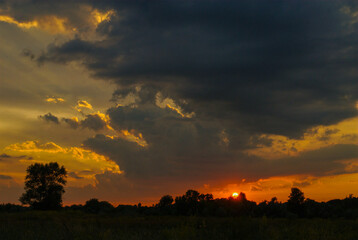 beautiful sunset over the field
