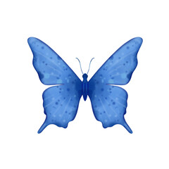 Beautiful blue butterfly. Illustration. Watercolour