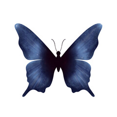 Beautiful blue butterfly. Illustration 
